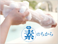 素のちから